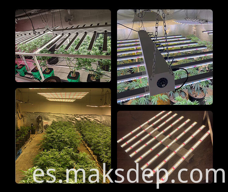 led grow light 4x2